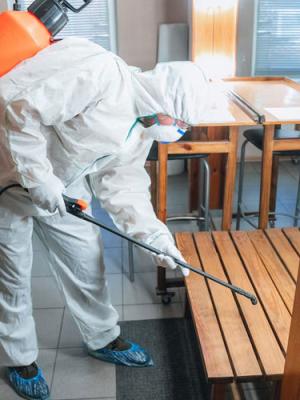 Pest Control Services